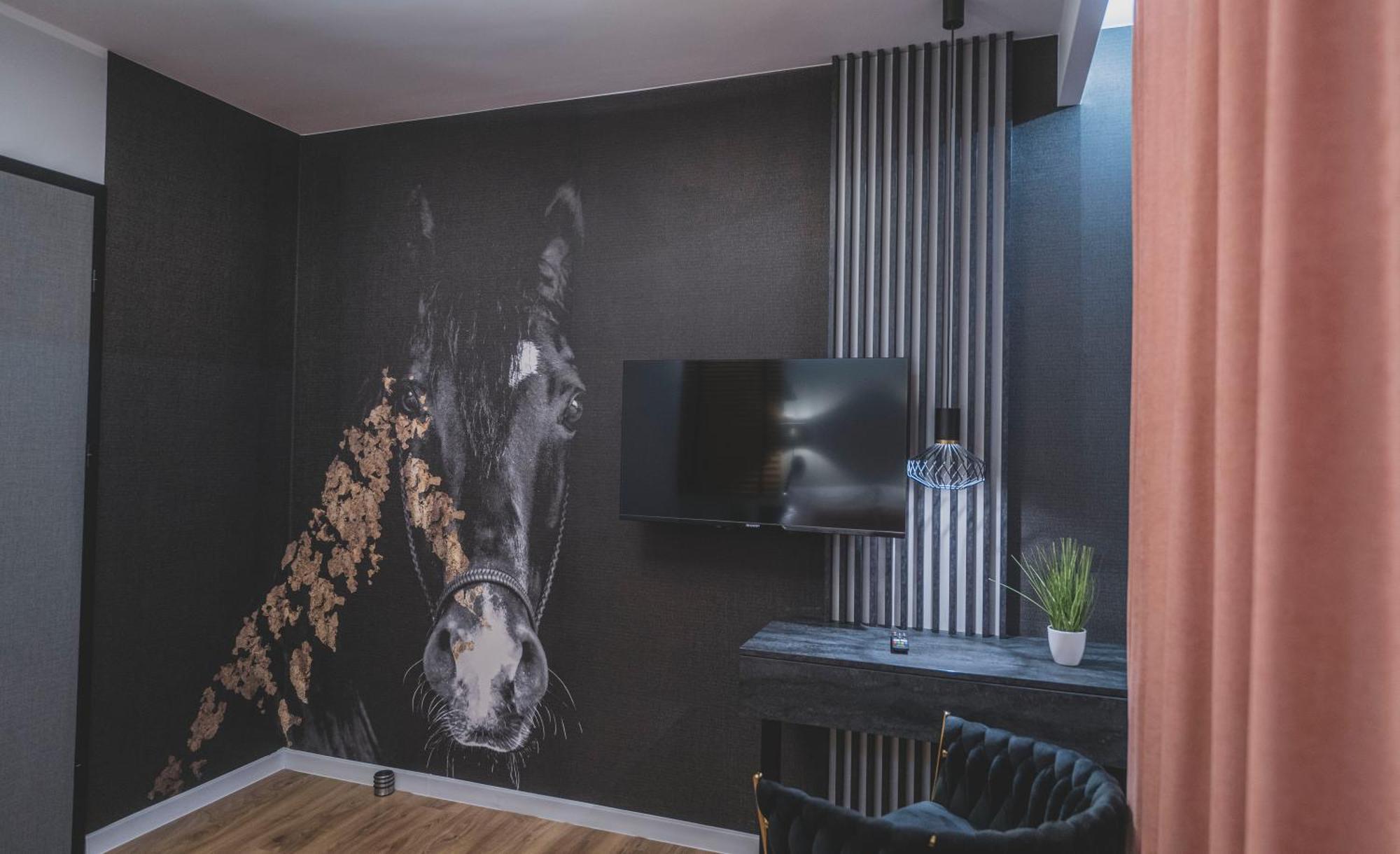 W Cieplicach Luxury Apartment *