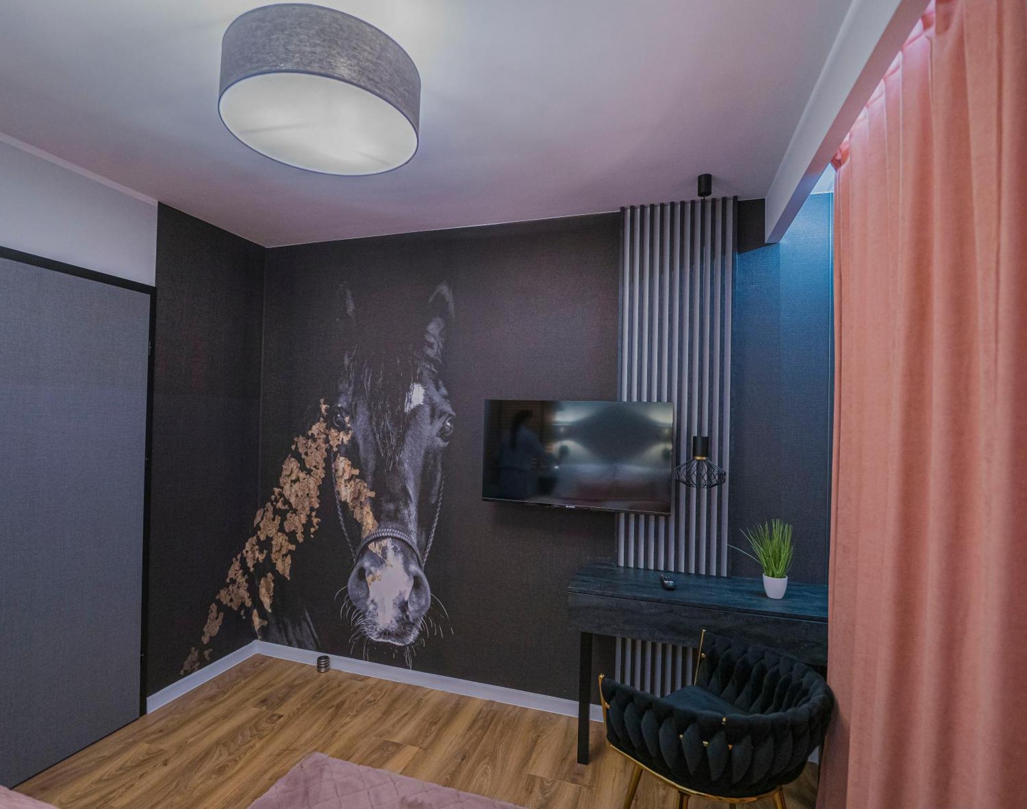 W Cieplicach Luxury Apartment *