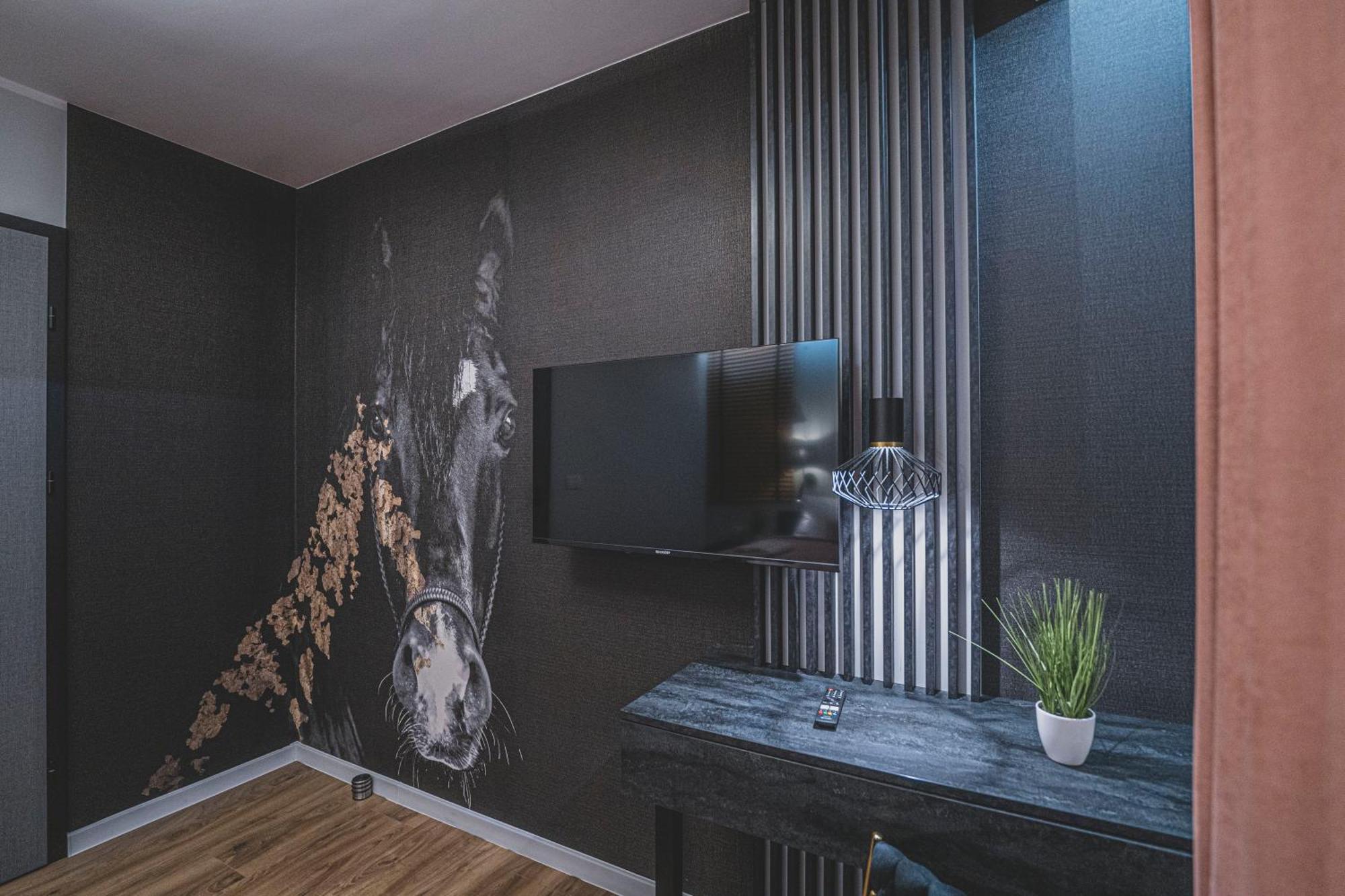 W Cieplicach Luxury Apartment Jelenia Gora